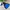 Jacket winter tebal outdoor anak biru 2 in 1 super cakep photo 1