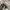 Converse Chuck Taylor All Star 70S High Black White photo 6