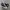Converse Chuck Taylor All Star 70S High Black White photo 1