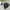 Jacket winter parka goose down anak tebal new balance keren photo 5