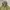 Vintage sierra disign mountain parka photo 2