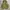 Vintage sierra disign mountain parka photo 3