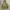 Vintage sierra disign mountain parka photo 1