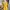 Yellow Top photo 1
