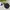 Jacket winter parka tebal anak eider hitam super keren photo 1