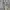 Square Neck Lace Korea Mini Dress Vintage BodyconLeherPetak  photo 8