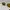 Vintage Onyx Mod. Mid SX 3512 Small Sunglasses photo 7