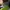Nike zoom vaporfly photo 6