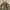 Walls Blizzard Pruf Duck camo reversible jacket photo 4
