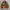 Walls Blizzard Pruf Duck camo reversible jacket photo 6