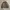 Walls Blizzard Pruf Duck camo reversible jacket photo 1
