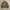 Walls Blizzard Pruf Duck camo reversible jacket photo 7