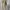Prime Pattern Floral Square Neck Dress Korea Coquette Fairy photo 4