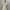 Prime Pattern Floral Square Neck Dress Korea Coquette Fairy photo 3