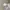 Prime Pattern Floral Square Neck Dress Korea Coquette Fairy photo 7
