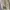 Prime Pattern Floral Square Neck Dress Korea Coquette Fairy photo 8