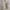Prime Pattern Floral Square Neck Dress Korea Coquette Fairy photo 2