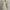 Prime Pattern Floral Square Neck Dress Korea Coquette Fairy photo 1