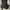 Black Boots photo 6