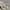 Vintage kushitani revesible motorcycle jacket photo 5
