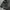 Adidas Puffer Down Jacket photo 4