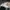 Adidas Superstar WS 1 casual photo 6