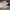 Adidas Superstar WS 1 casual photo 1