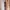NMR Floral Maxi Dress See through  photo 4
