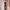 NMR Floral Maxi Dress See through  photo 1