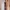 NMR Floral Maxi Dress See Through 