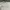 Polo Ralph Lauren Casual T-shirt Pria Gray