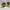 Vintage 90’s Gianni Maraux Mod. 227 Small Sunglasses photo 8