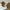 Vintage 90’s Gianni Maraux Mod. 227 Small Sunglasses photo 7