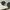 Vintage 90’s Sting Mod. 4143 Small Sunglasses photo 7