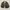 Harrington Leopard Suede Wool Flight Jacket Macan Jeans photo 1