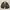 Harrington Leopard Suede Wool Flight Jacket Macan Jeans