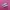 Puma Speedcat Ballet Pink White photo 1