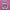 Puma Speedcat Ballet Pink White photo 3