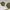 Vintage 90’s Mask Mod. M155 Small Sunglasses photo 7