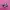 Puma Speedcat Ballet Black Pink photo 1