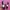 Puma Speedcat Ballet Black Pink photo 2