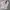 Jas Zara Man - Moda Sport - Size L photo 1