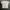 Quiksilver Casual T-shirt Pria white photo 3