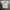 Adidas Vintage Casual T-shirt Pria gray photo 6
