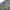 Blank Jorts tree embroidered photo 1