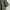 Uniqlo Minimalist Casual Casual shirt Pria green photo 3
