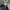 NII Streetwear Casual Hoody Pria gray photo 3