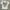 Graphic Tee Flame Cross Tribal photo 2