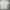 Acne Studios Authentic Center Logo Tee photo 4