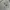 Under Armour Sportswear Casual Hoody Pria gray photo 4